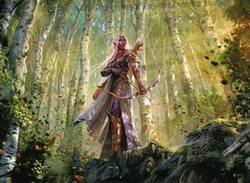 Archers? preview