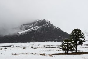 Live the snowy season in Corralco and southern Chile