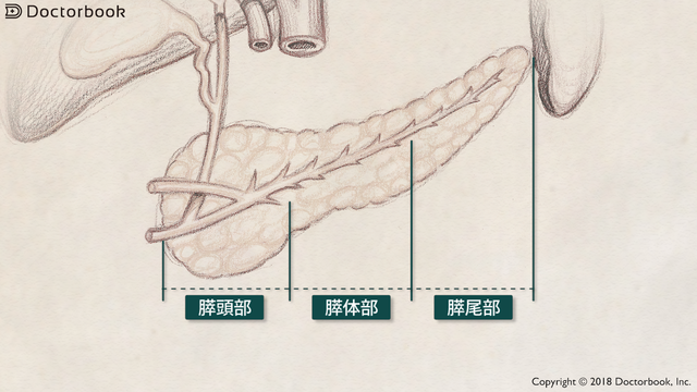膵臓がんの概要