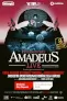 Amadeus Live | TIFF.24 