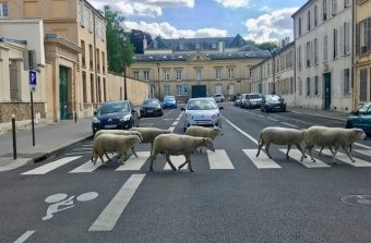 À Versailles, la Biennale d’architecture et de paysage d’Île-de-France nous donne les clefs pour vivre la ville autrement