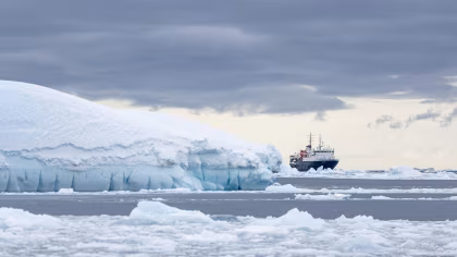 Pourquoi visiter l'Antarctique en novembre lors d'une croisière d'expédition ?