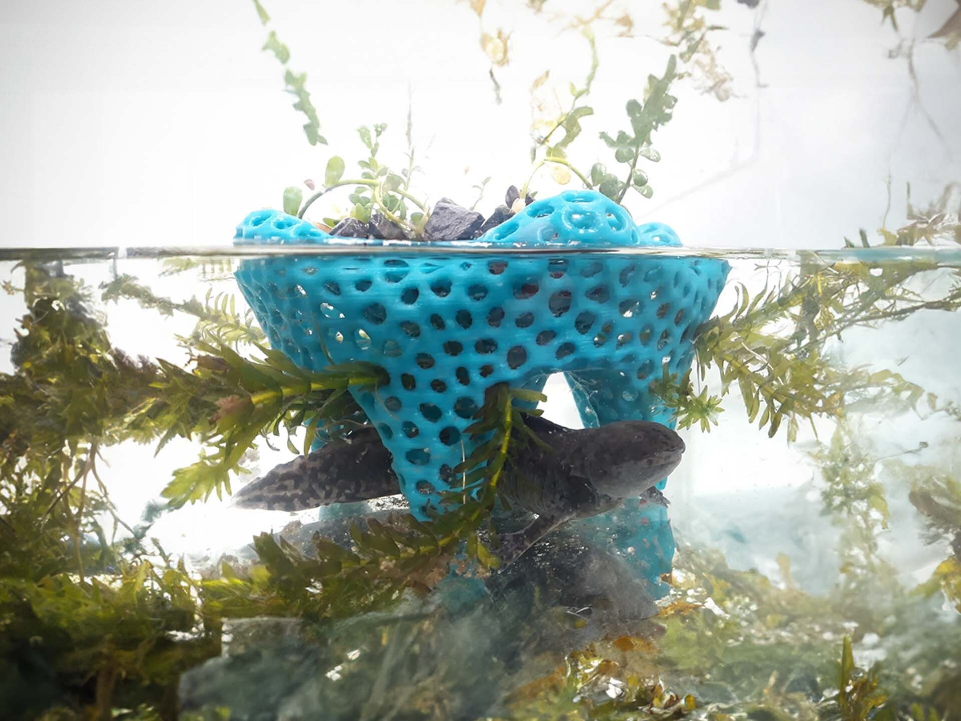 Aquarium planter by tato_713